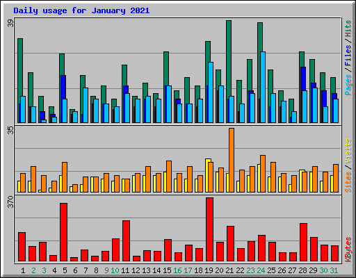 Daily usage for January 2021