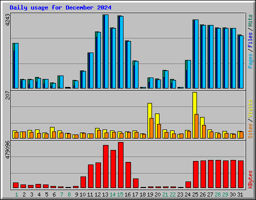 Daily usage for December 2024