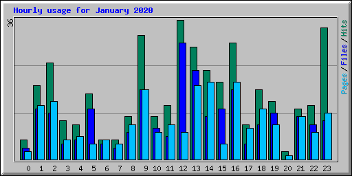Hourly usage for January 2020