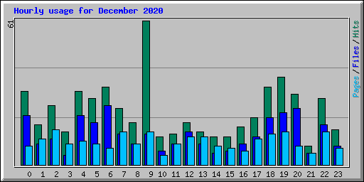 Hourly usage for December 2020