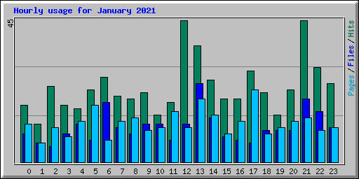 Hourly usage for January 2021
