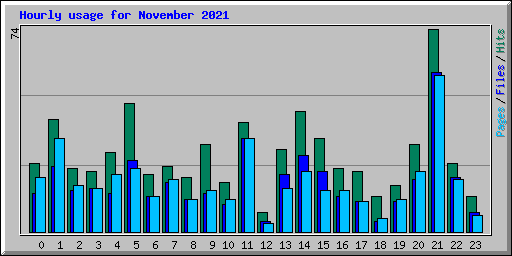 Hourly usage for November 2021