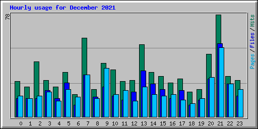 Hourly usage for December 2021