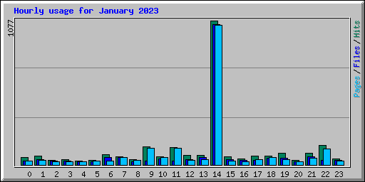 Hourly usage for January 2023