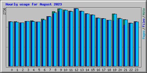 Hourly usage for August 2023