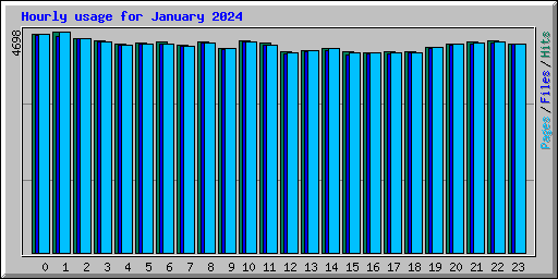 Hourly usage for January 2024