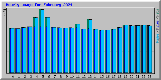Hourly usage for February 2024