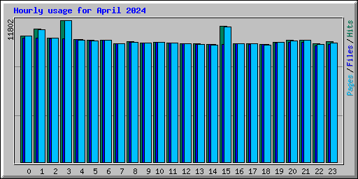 Hourly usage for April 2024