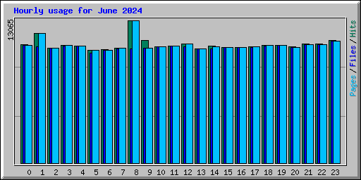 Hourly usage for June 2024