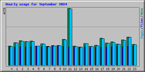 Hourly usage for September 2024