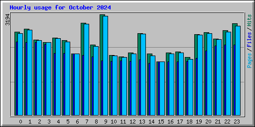 Hourly usage for October 2024