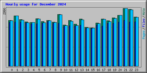 Hourly usage for December 2024