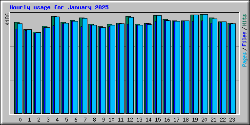 Hourly usage for January 2025