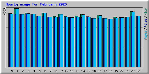 Hourly usage for February 2025