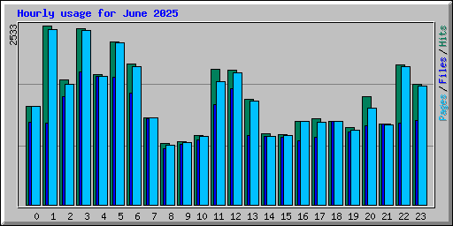 Hourly usage for June 2025
