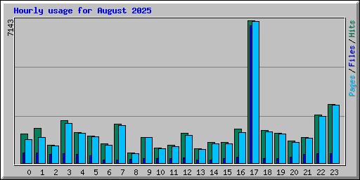 Hourly usage for August 2025