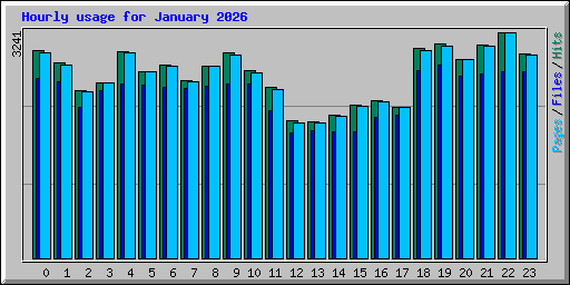 Hourly usage for January 2026